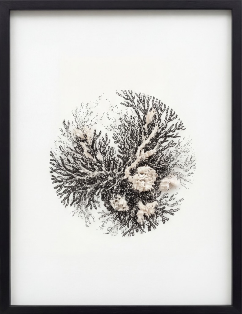 Benoît Barbagli Vautier, Forêt de Nacre, 2026