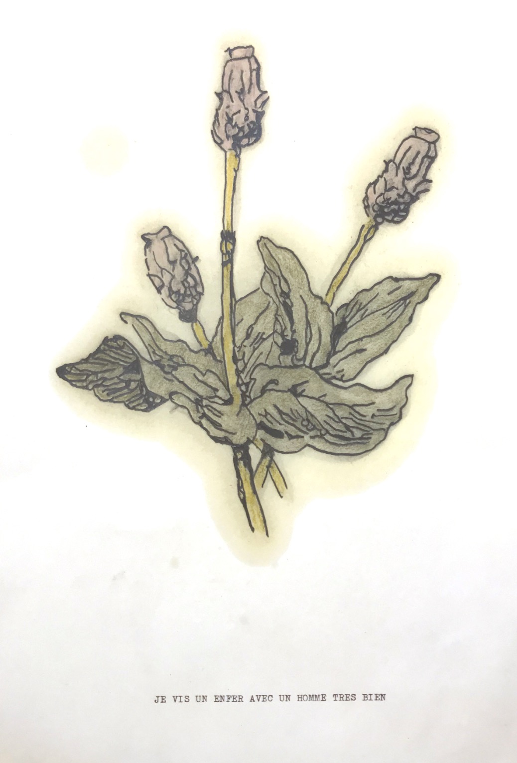 Gérald Panighi, Je vis un enfer avec un homme tres bien, 2020