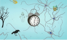 Jeanne Susplugas, I WILL SLEEP WHEN I’M DEAD (clock), 2021